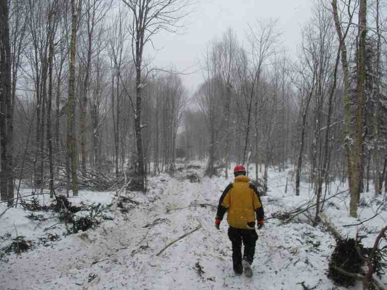 Do Loggers Work in the Winter?