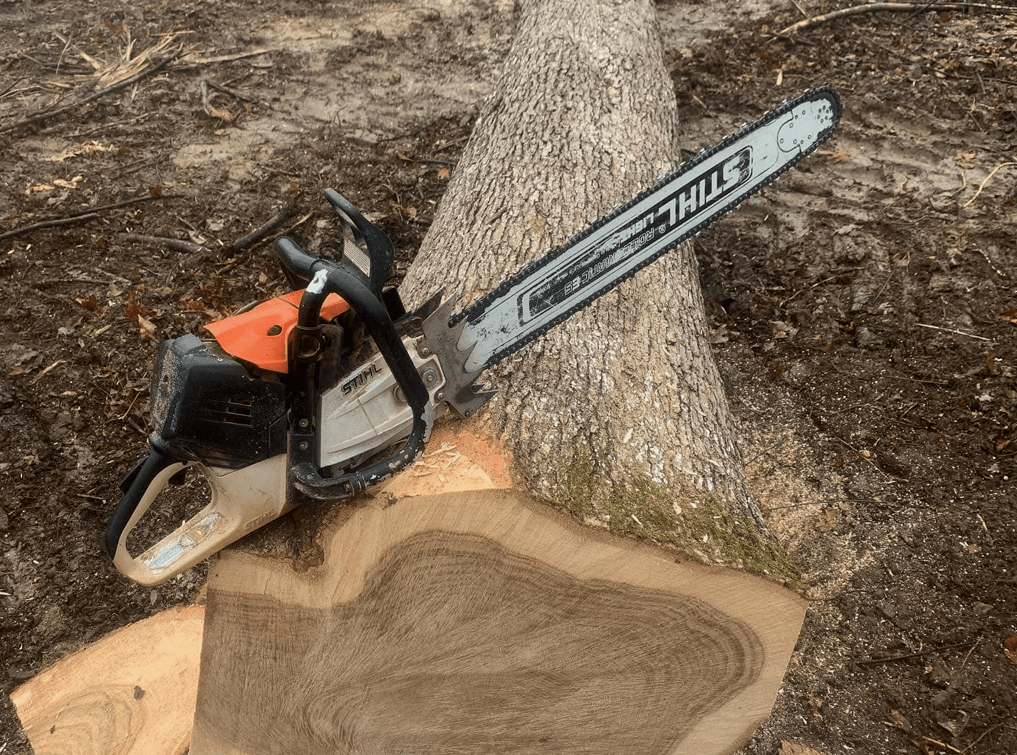 Chainsaw Felling Dogs/Bucking Spikes Are They Necessary?