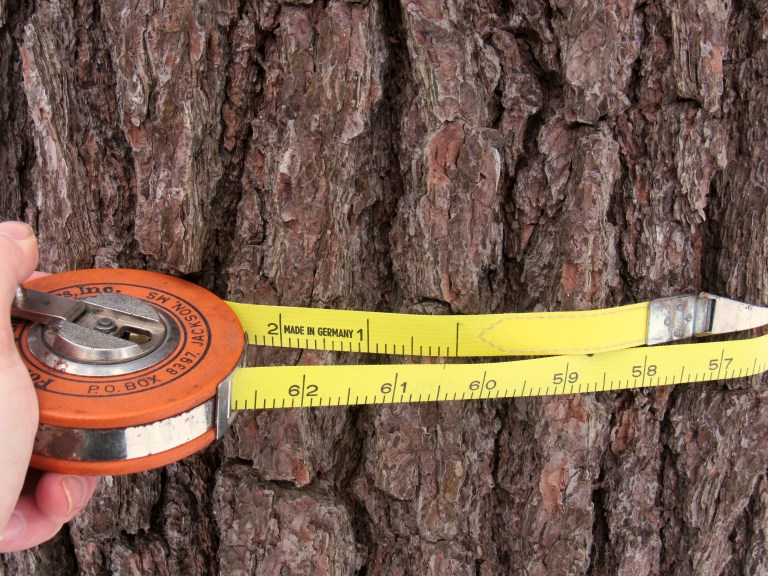 The Four Timber Measurement Units You Need to Know