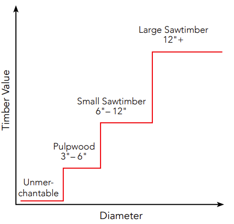 Timber value as it relates to log size. 