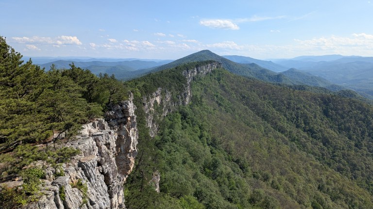 West Virginia Timber Price Q4 2025