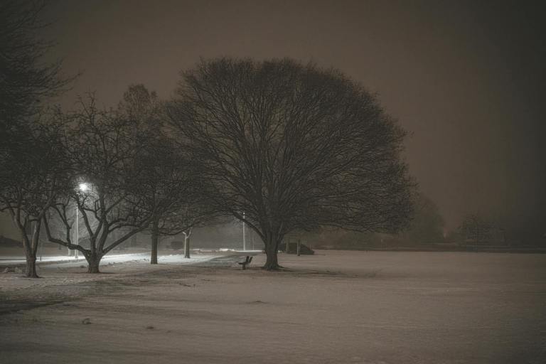 Connecticut Timber Prices Q4 2025